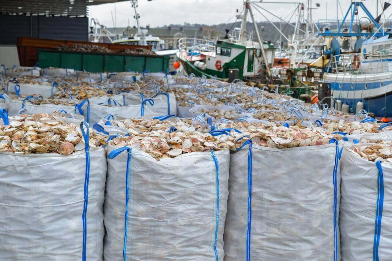 Home exportacion de mariscos