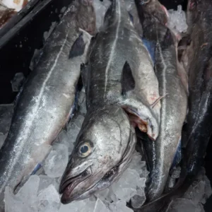 frozen alaska pollock