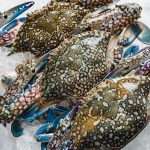 frozen blue swimming crab
