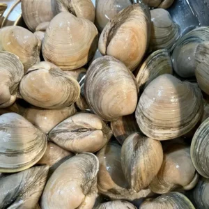 Frozen Clams