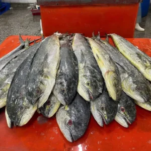 Frozen Mahi-Mahi