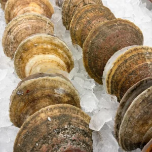 Mollusks & Premium Seafood