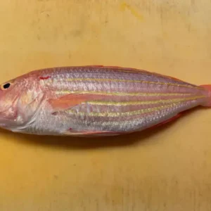 Frozen Red Snapper