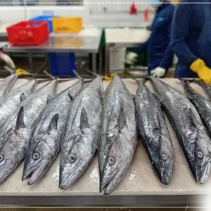 Frozen Swordfish