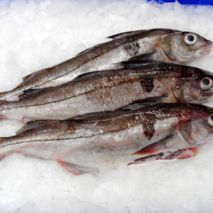 Frozen Haddock