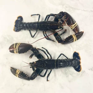 Frozen European Lobster