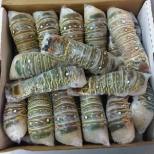 Frozen Lobster Tails Wholesale