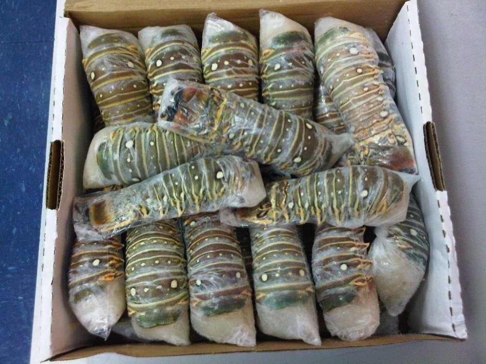 Frozen Lobster Tails Wholesale