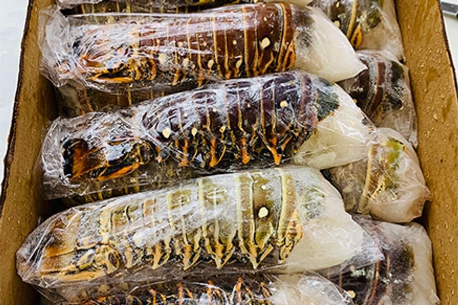 lobster tail