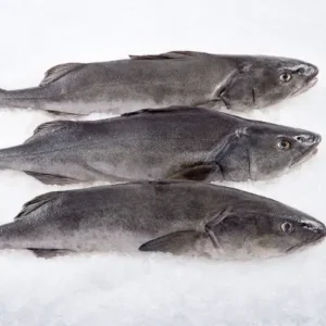Wholesale Frozen Atlantic Cod Fillets