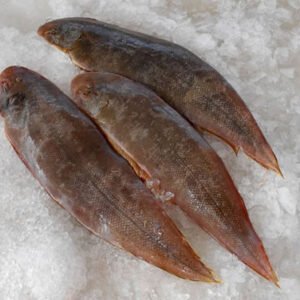 Fresh whole fish on ice