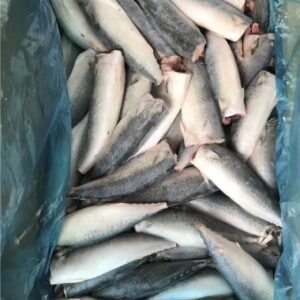 wholesale hgt mackerel