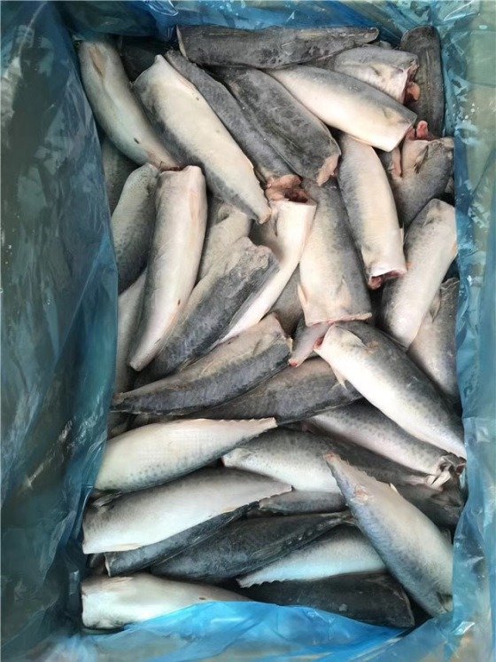 wholesale hgt mackerel wholesale hgt mackerel