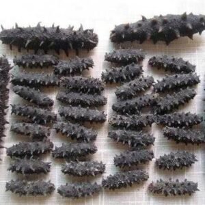 dried sea cucumber
