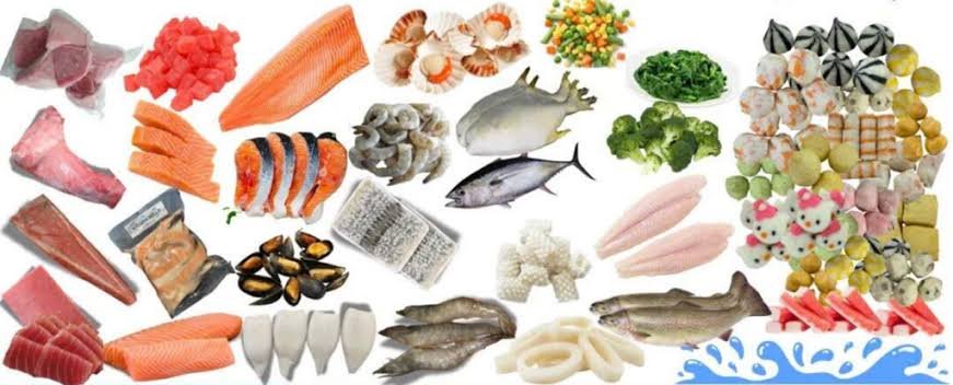 How to Import Frozen Seafood: Complete Guide for Importers fresh seafood and vegetables assortment