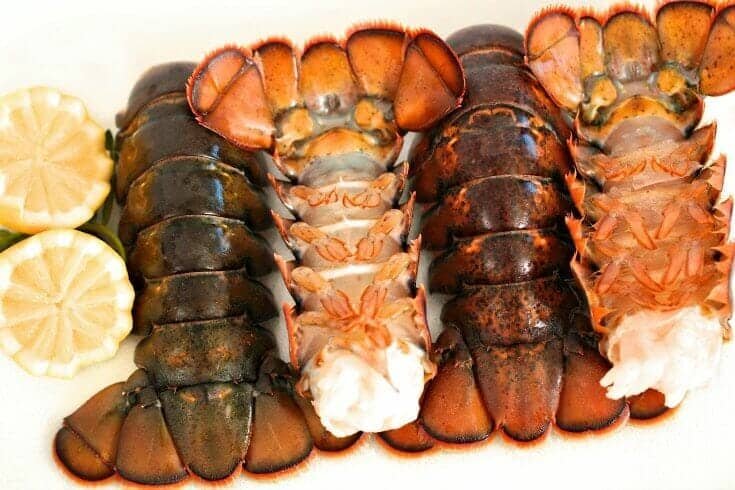 Whole Lobster vs Lobster Tails Whole Lobster vs Lobster Tails